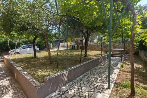 PHOTO-2025-11-25-12-39-02 (4)