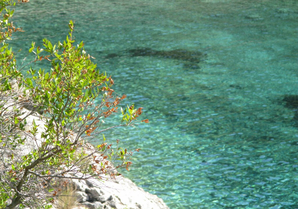 Exklusive Villa direkt am Meer auf der Insel Korcula