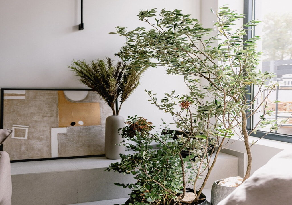 Neue moderne Villa in Sibenik