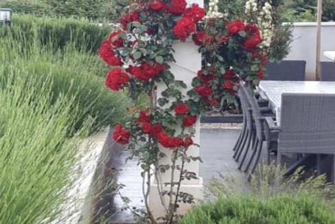 Neues modernes Haus auf der Insel Solta