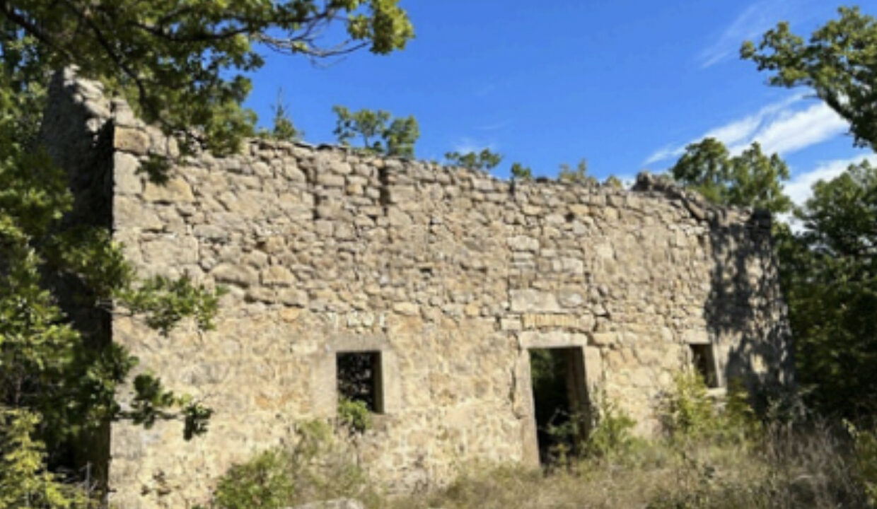 Haus, Sechs Hektar Land Drniš