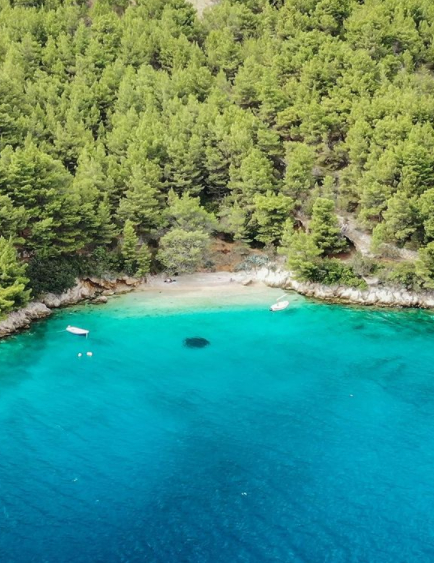 Grundstück am Meer - Insel Sipan, Dubrovnik - 115539m2